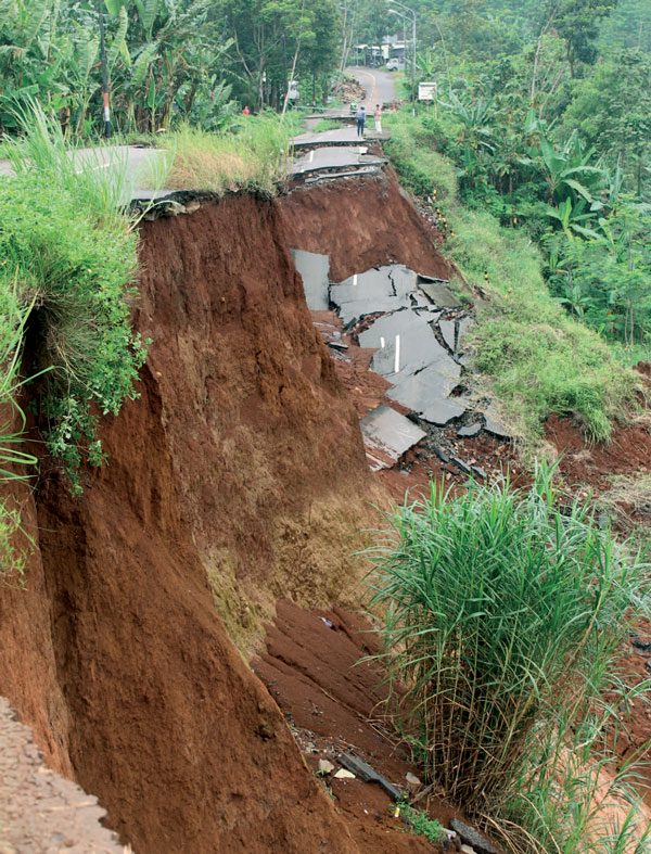 壹定发(中国游)最新官方网站