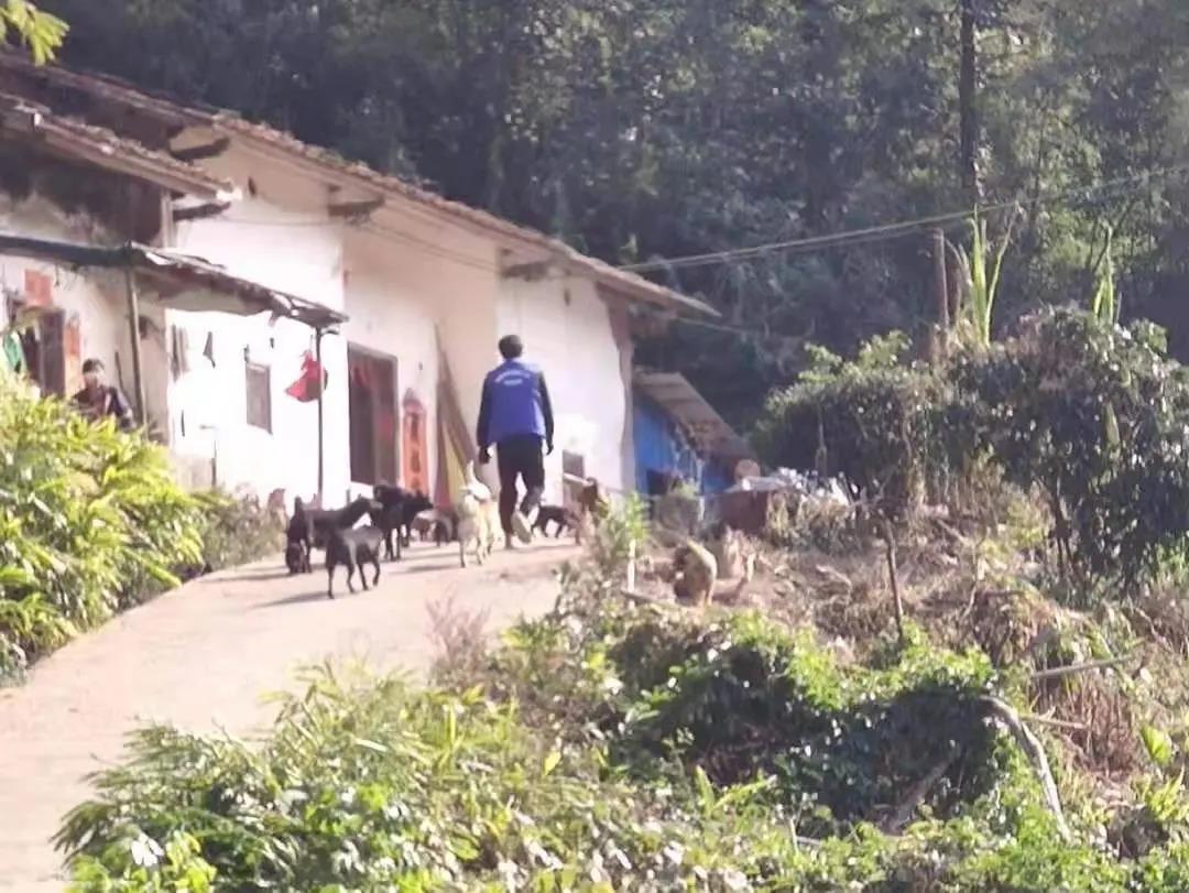 阳春房地一体项目纪实丨无悔青春多砥砺，最是奋斗动人心