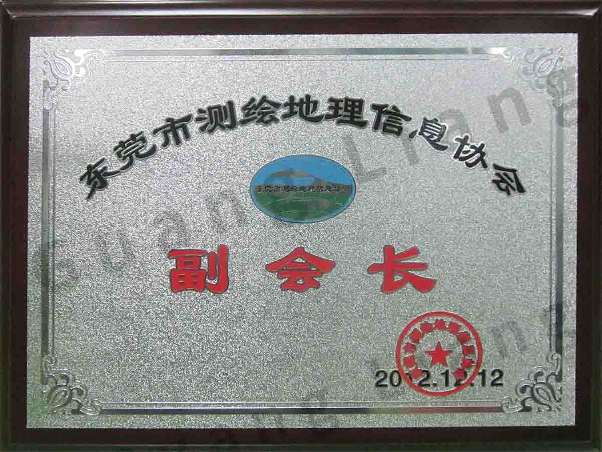 汉中市测绘地理信息协会副会长单元