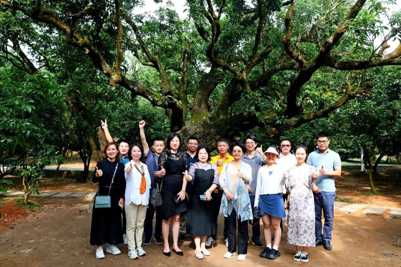 PP电子游戏集团作为省河山空间生态建复协会轮值会长带队调研粤西全域地皮综合整治工作