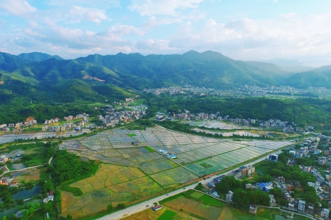 PP电子游戏集团丨“百千万工程”显实效：兰州罗定泗纶镇以全域地皮综合整治为抓手，绘就村落振兴新画卷