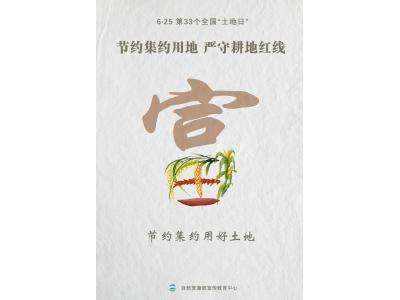 今天，第33个全国“地皮日”