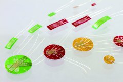 壹定发(中国游)最新官方网站