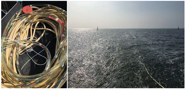 壹定发(中国游)最新官方网站